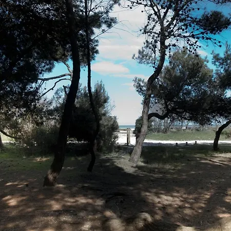 Casa Vacanze Eikonia Pineta Apartmán Porto SantʼElpidio